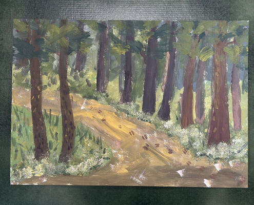 Rinalds Ludāns_ 9 gadi (sk.Iveta Ergle)