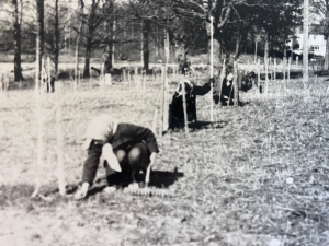 WhatsApp Image 2026-02-22 at 15.15.19