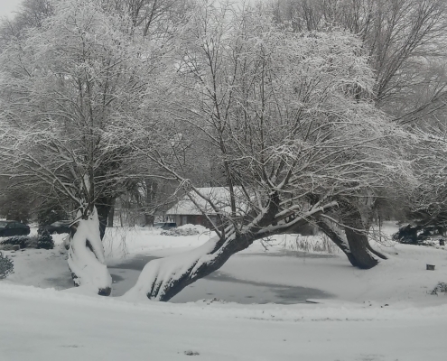 HDR Bracket = 0,-8 FaceNum=0 FocusArea=111111111